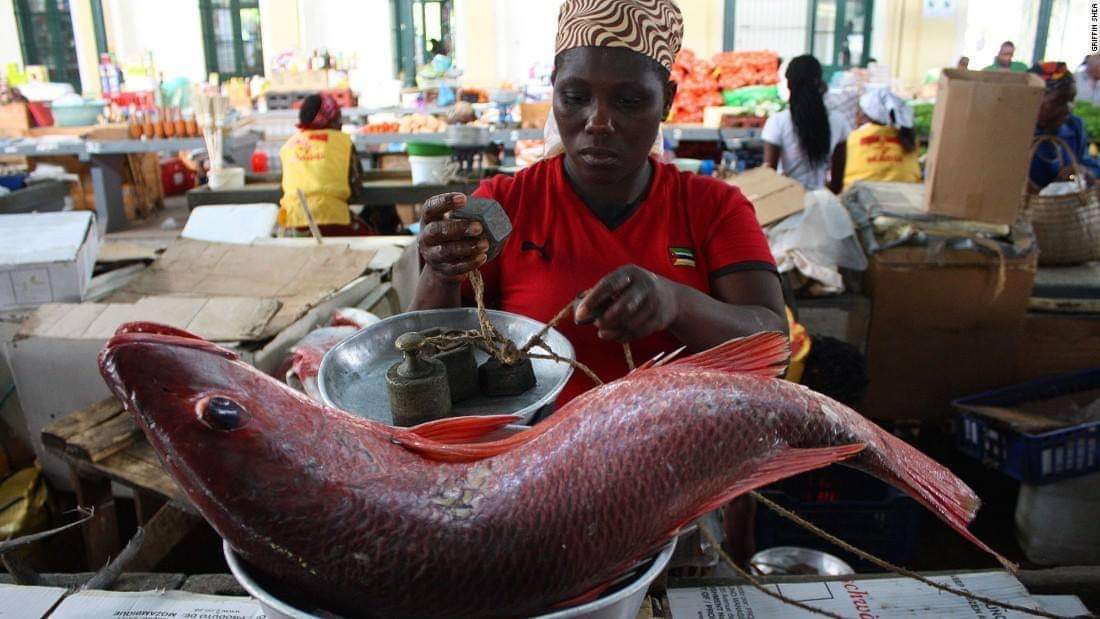 Reopening of the Bilene Beach channel promotes fishing and tourism – Mozambique