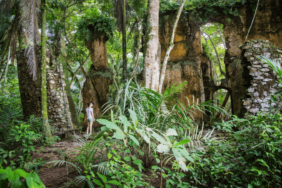 Jungle trekking at Sundy Praia, Principe